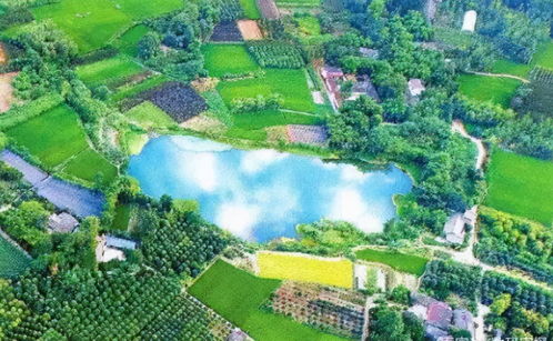 23億負債壓頂，22年老牌房企申請破產(chǎn)！阜陽房企承壓，四川地產(chǎn)亦現(xiàn)隱憂