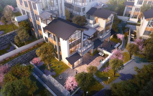 歸原小鎮(zhèn)產(chǎn)品發(fā)布會(huì)首秀驚艷山城，仙女山度假房地產(chǎn)迎來(lái)震撼盛會(huì)